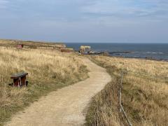 Near Souter Point, just north of Whitburn